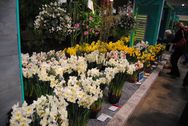 philadelphia flower show 2013
