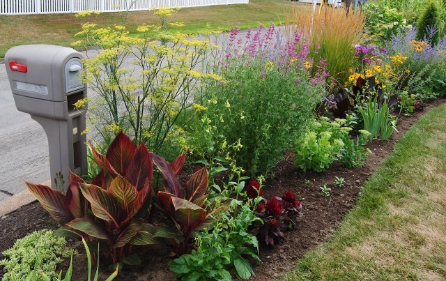 august perennial border