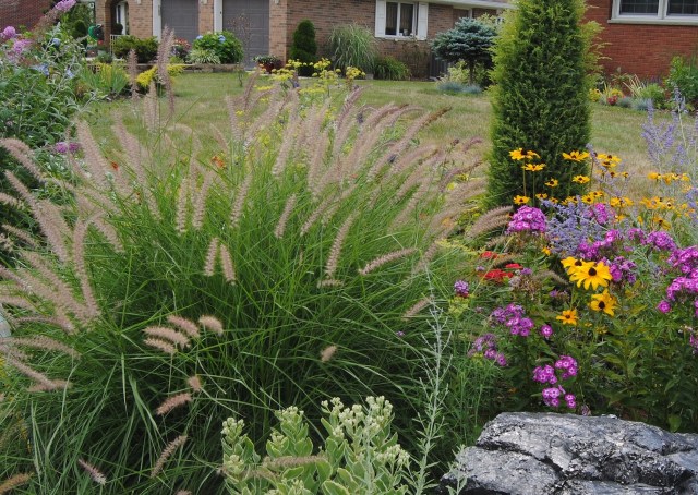 august perennial border