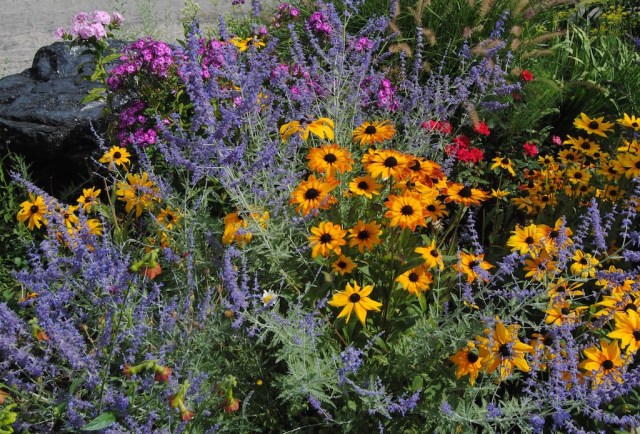 august perennial border