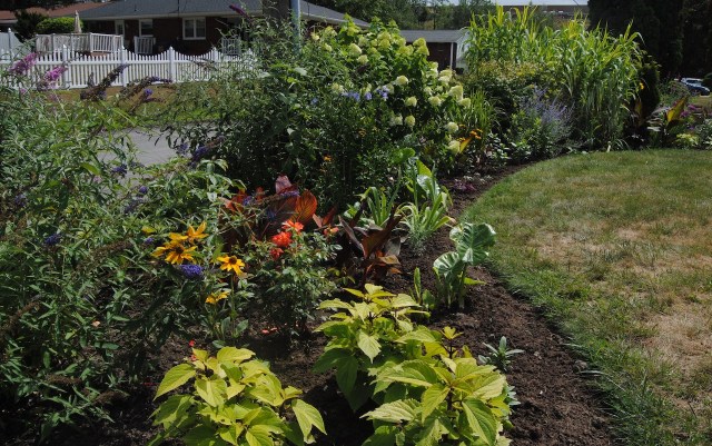 august perennial border