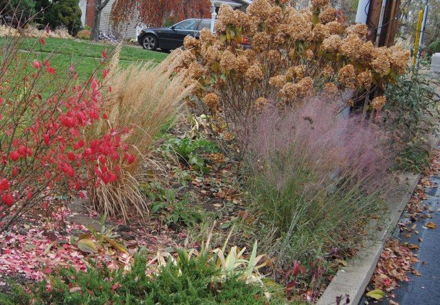 late fall border with grasses