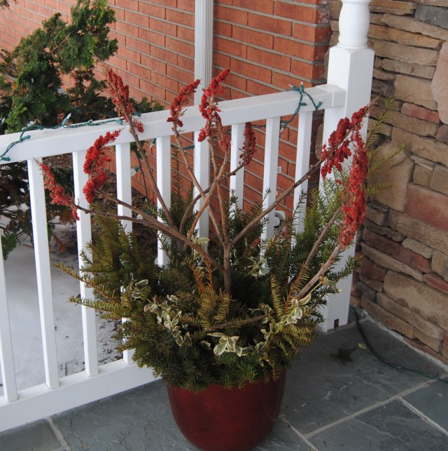 sumac and yew holiday decoration sumac and yew for the holidays