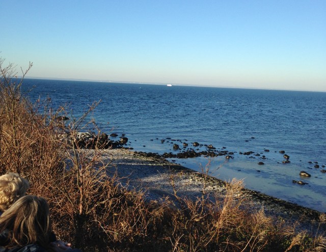 rocky winter beach on Long Island