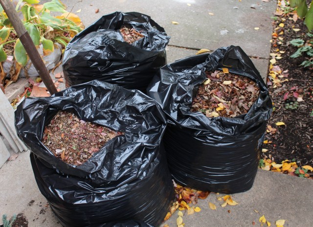 chopped leaves lawnmower