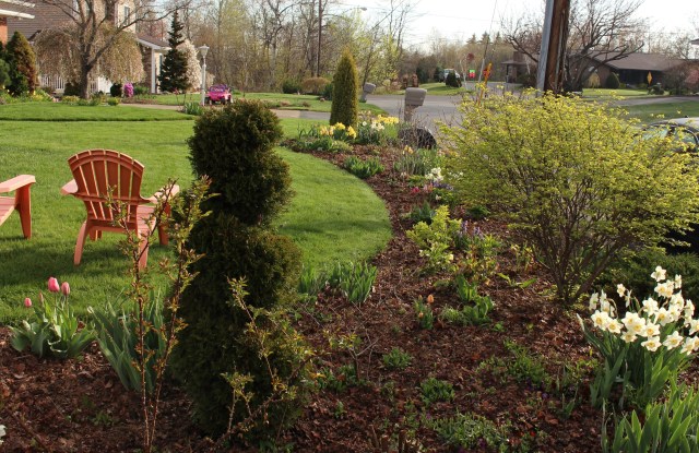cheap leaf mulched perennial beds 
