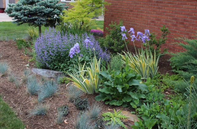 mixed perennial bed as foundation planting