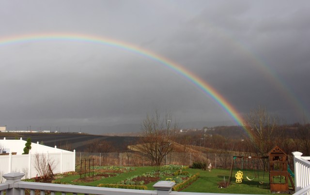double rainbow over the garden