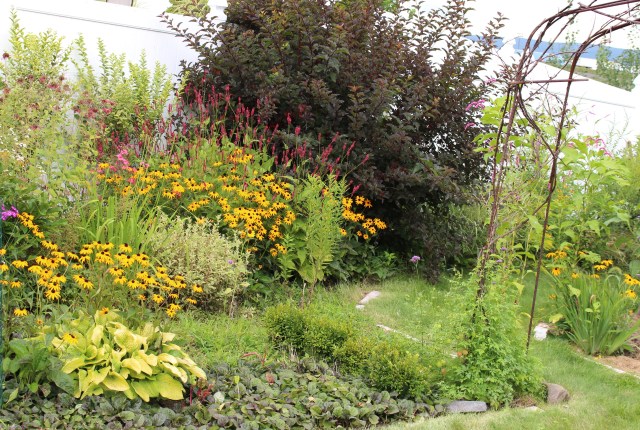 persicaria red border
