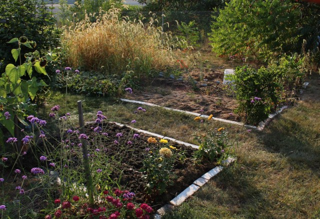 fall vegetable gardening