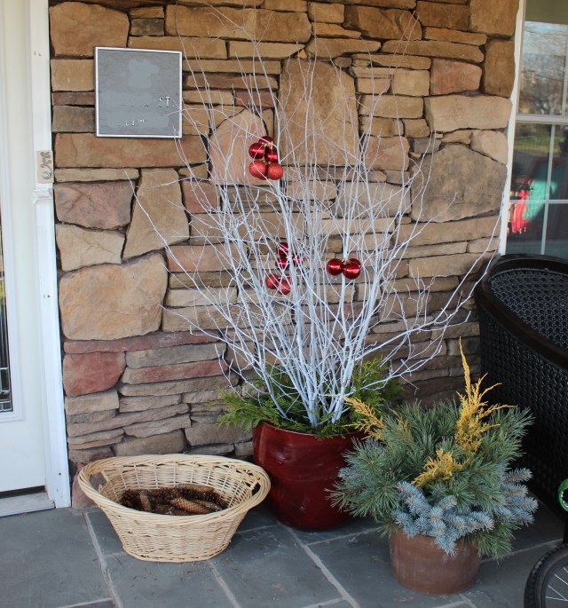 home grown winter decorations