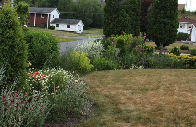 late June perennial border