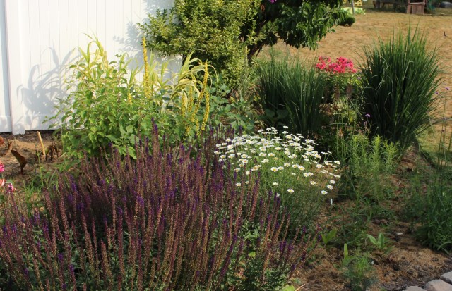July perennial border