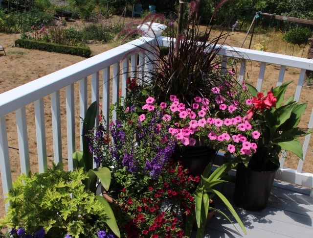 deck planting containers