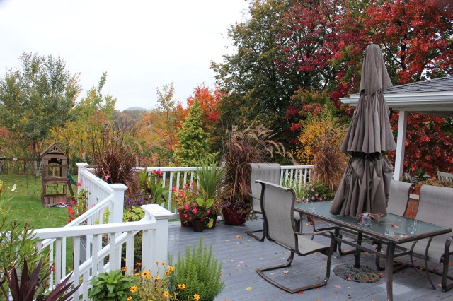 autumn colors pennsylvania