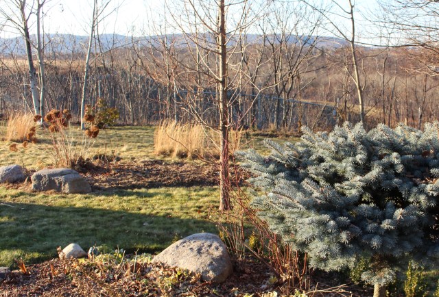 winter interest garden