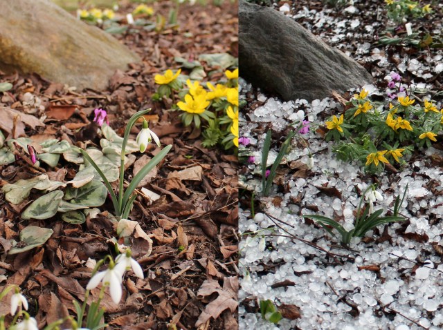 before and after hail