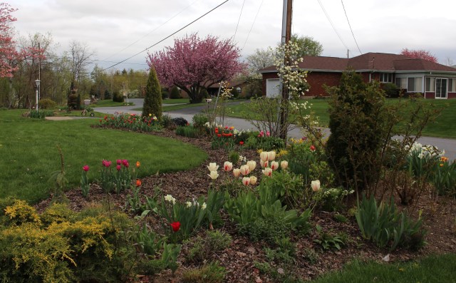 mixed perennial border