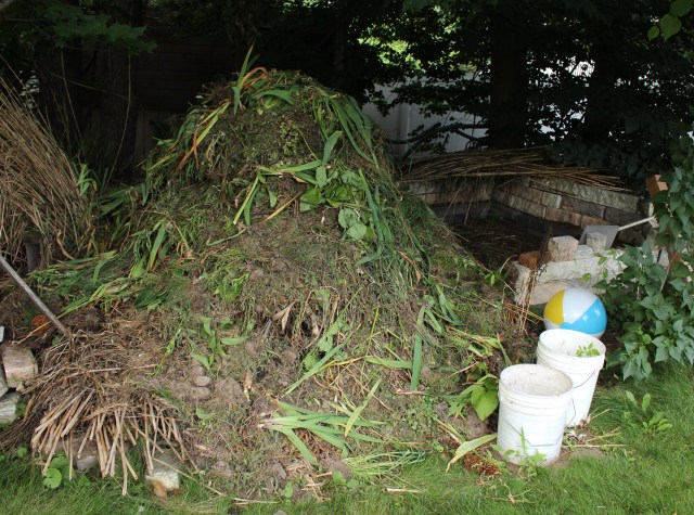 compost pile