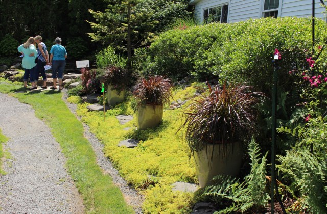 back mountain bloomers garden tour