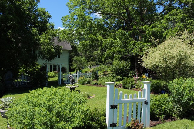 back mountain bloomers garden tour