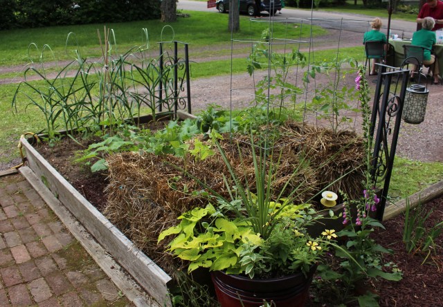 back mountain bloomers garden tour