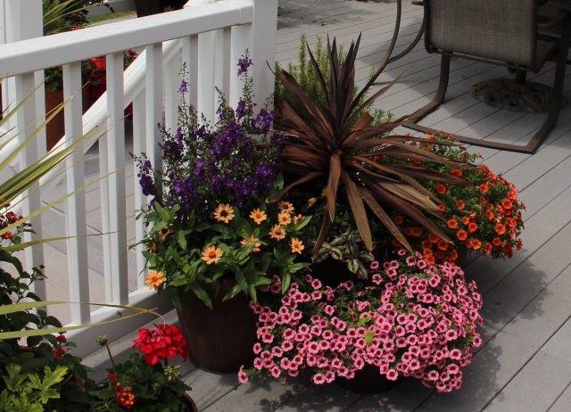 deck container planters