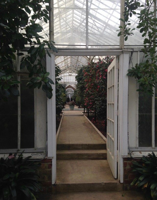 planting fields arboretum