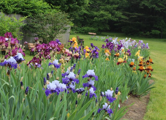 presby memorial iris gardens