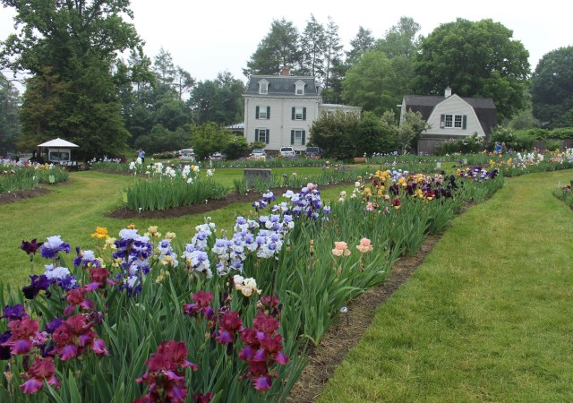 presby memorial iris gardens