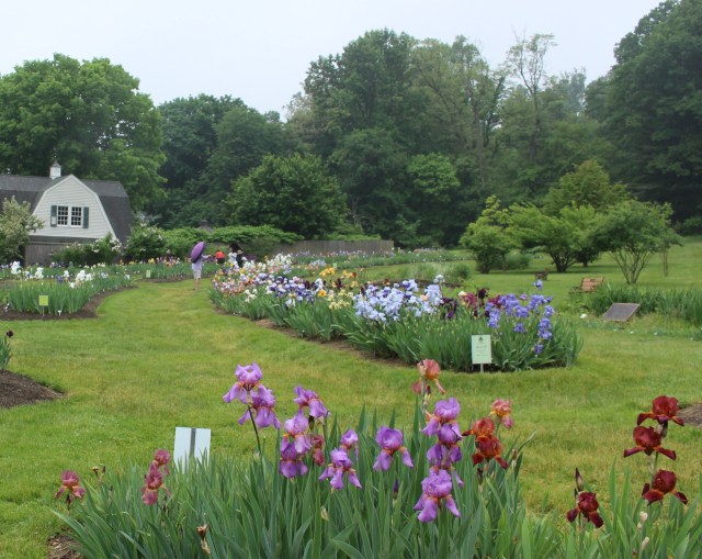 presby memorial iris gardens
