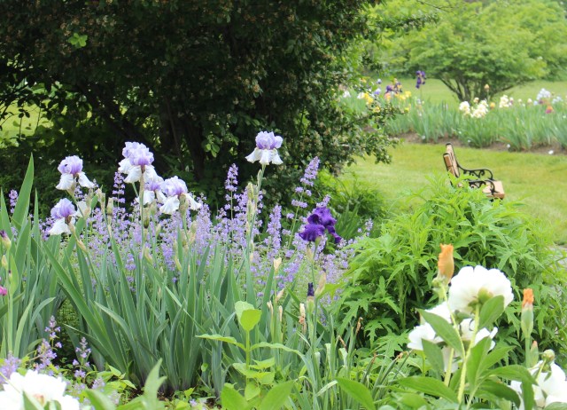 presby memorial iris gardens