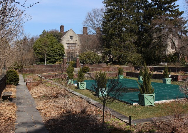 planting fields pool