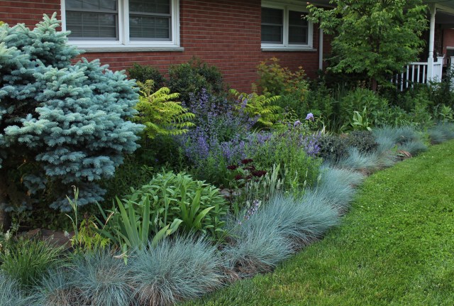 ranch foundation planting