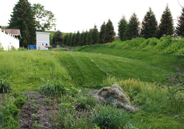 berm planting