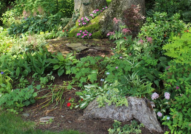 backmountain garden tour