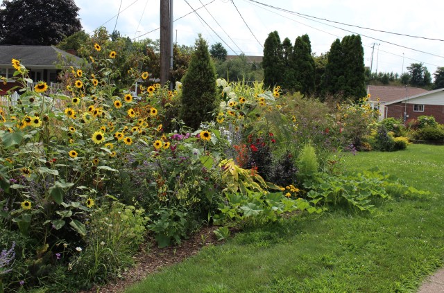 front border