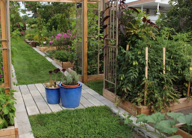 potager pergola