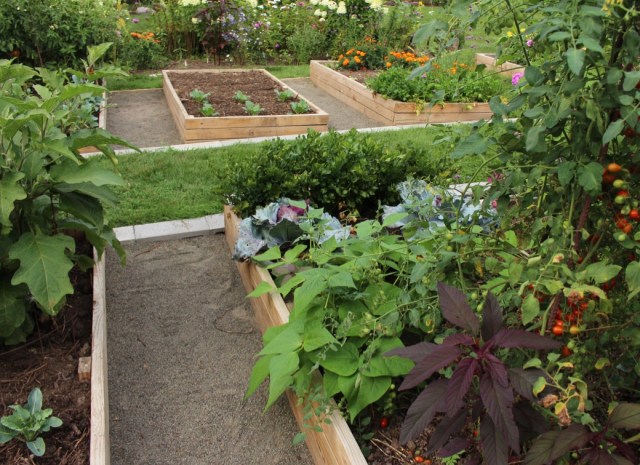 vegetable garden paths