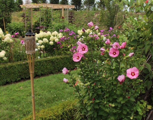 rose of sharon ruffled satin