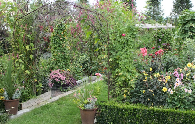 autumn potager garden
