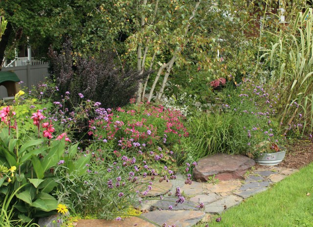 autumn perennial border