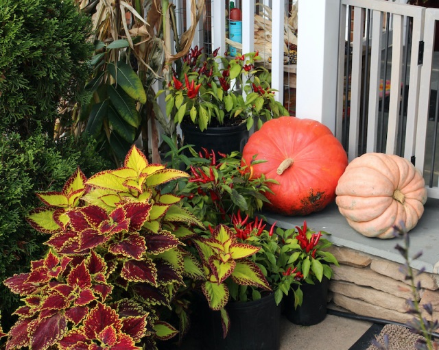 autumn porch display