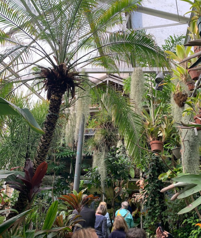 michael bowell garden