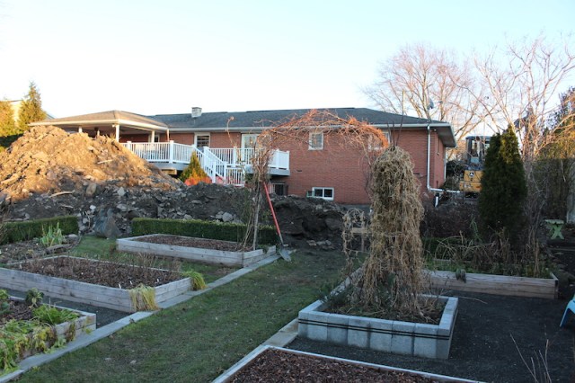potager in winter