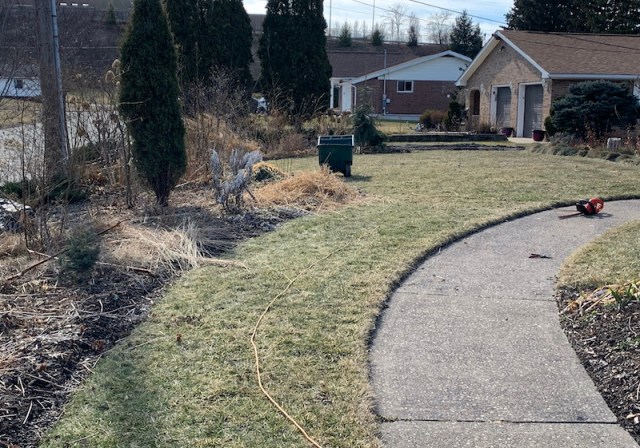 winter garden cleanup