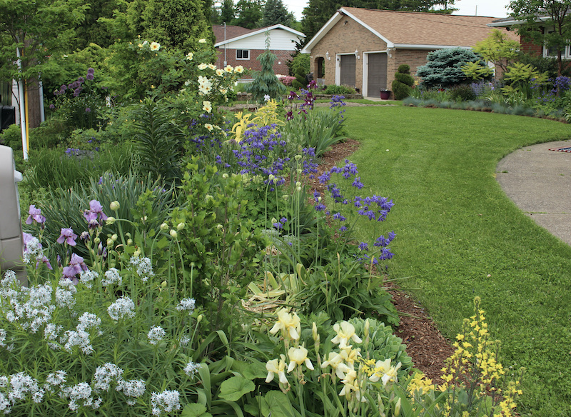 may perennial border