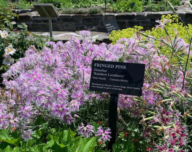 cornell botanic garden