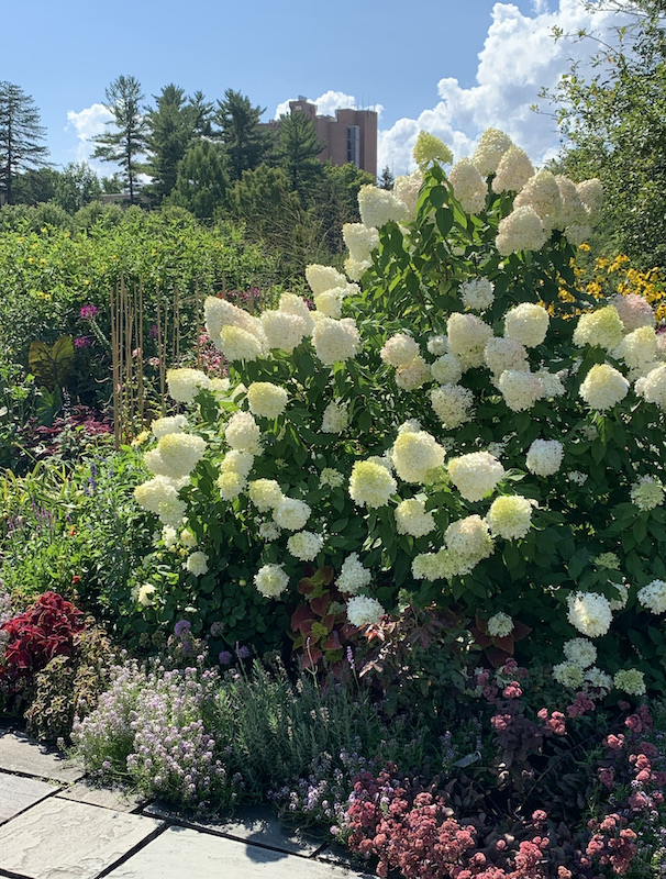 cornell botanic garden