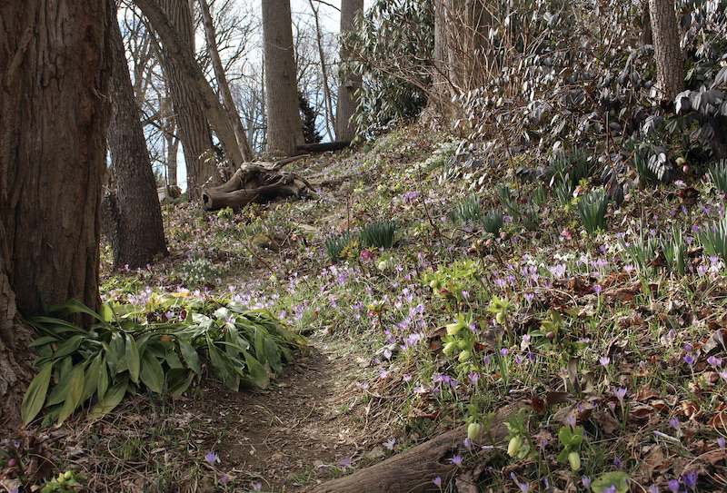 david culp brandywine cottage